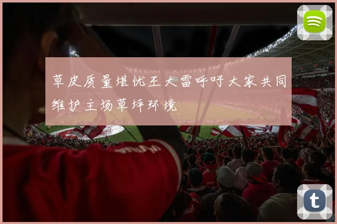 草皮质量堪忧王大雷呼吁大家共同维护主场草坪环境