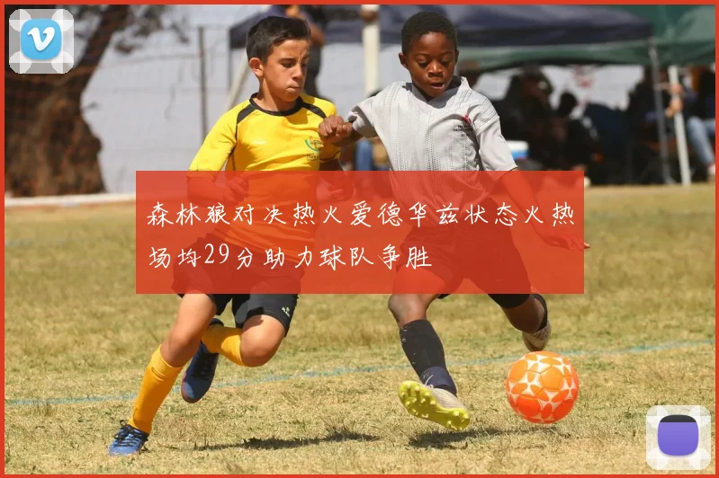 森林狼对决热火爱德华兹状态火热场均29分助力球队争胜