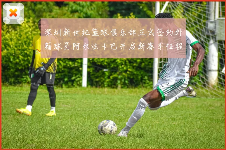 深圳新世纪篮球俱乐部正式签约外籍球员阿尔法卡巴开启新赛季征程