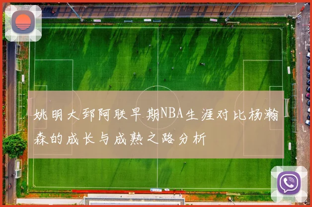 姚明大郅阿联早期NBA生涯对比杨瀚森的成长与成熟之路分析
