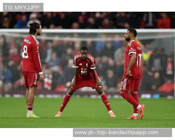 疯狂樱桃重建之路伯恩茅斯夏窗大换血后仅输利物浦一场